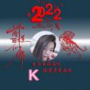 ?? K 18209508114