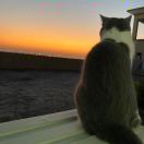 用户49522398的头像-博士钣金 - www.bsbanjin.com