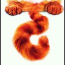 poster avatar
