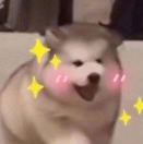 甜甜圈