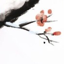 青花鱼