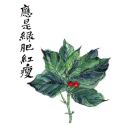细嗅蔷薇