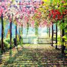 拼搏的个人空间