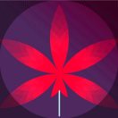 杨冲