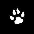 StoneQian's Avatar