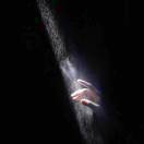 u客直谈实名认证向先生