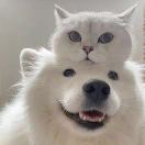 闲闲