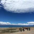 王志文18738898037