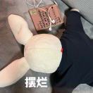赴京先生