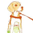 tocquetherabbit's Avatar