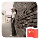 sunny的头像