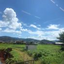 鍛鍊成更好的自己