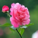 春江水的头像-熵减岛