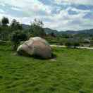 曹  冰   生(曹家河宝勤超市)