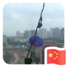 moosej's Avatar