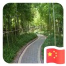 口袋蟲(chóng)