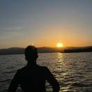 科研社的头像-WordPress主题模板-zibll子比主题