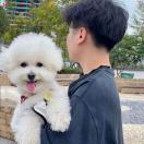久之-棉花糖网络安全资源站