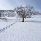 u客直谈实名认证吴先生