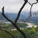 德阳发展刘兴元