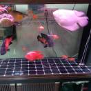 鑫友盛的头像-博士钣金 - www.bsbanjin.com