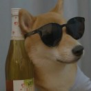 翻过身的咸鱼的头像-音创社AI SonoCraft丨科技改变未来