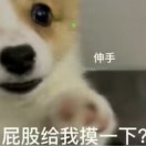 用户26242856的头像-长游分享网