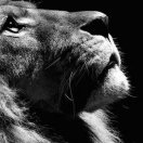 乾盛建设集团-王林