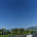 杉文