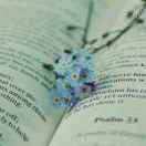 用户59493827的头像-外科技术网