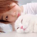 minmin_193