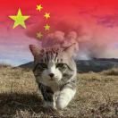 飘落的白色