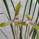 A～制冷设备～叶的头像-博士钣金 - www.bsbanjin.com