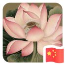 梧桐 000-双峰讲堂