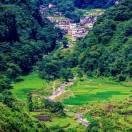 汪耀辉15899069878