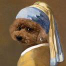 null转租&房东直租