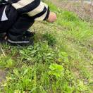 菜道味南湖店艳子15200931350