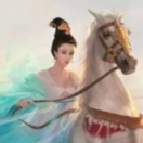 墙边小花