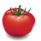 🍅番茄的头像