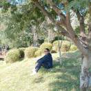 u客直谈实名认证杨先生