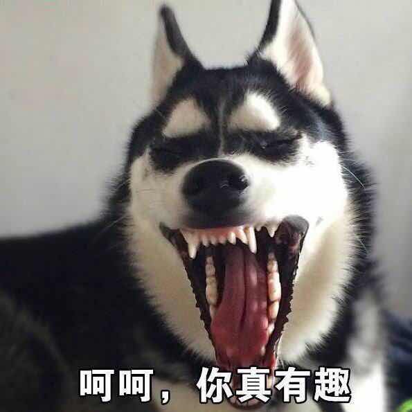 GoLang工程师
