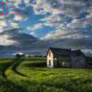 wx_meng91