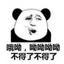 文先生的头像