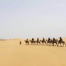 柳叶刀的头像-外科技术网