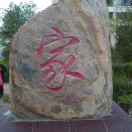 贺连寿的头像-熵减岛