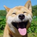 万有引力