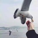 气质