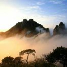 用户41627302的头像-熵减岛