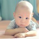 下笔无声赋到今。