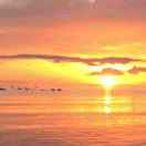 川岛镇山咀港码头